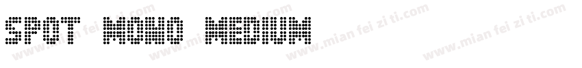 Spot Mono Medium字体转换